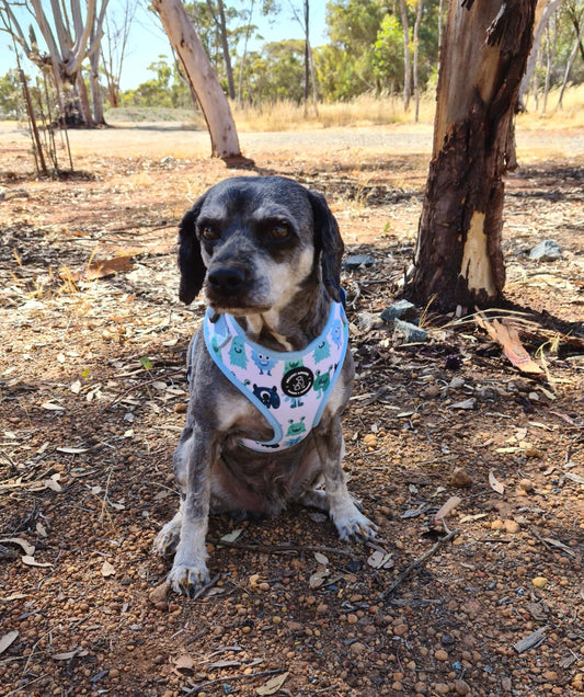 little monster harness