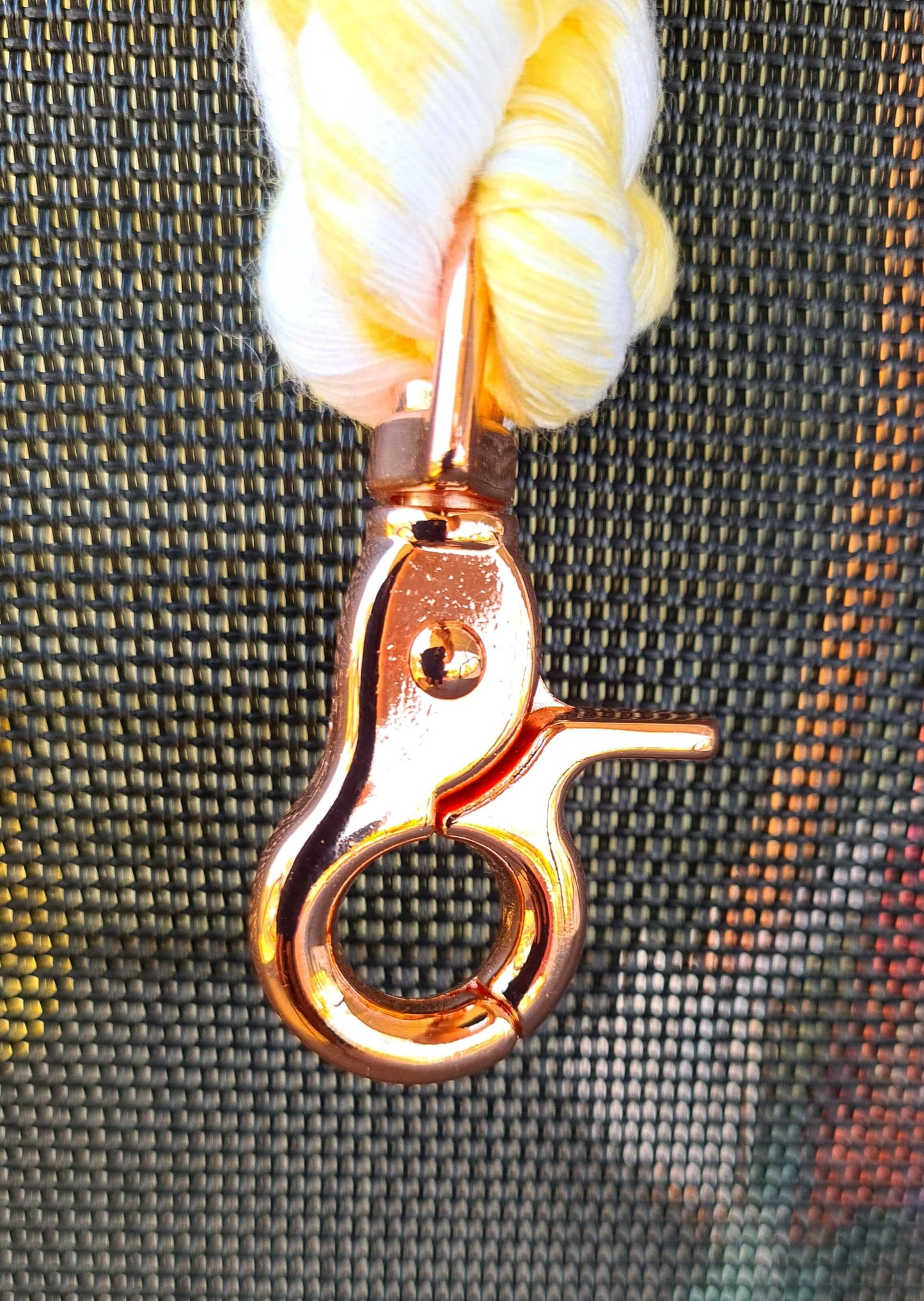 rope lead catch
