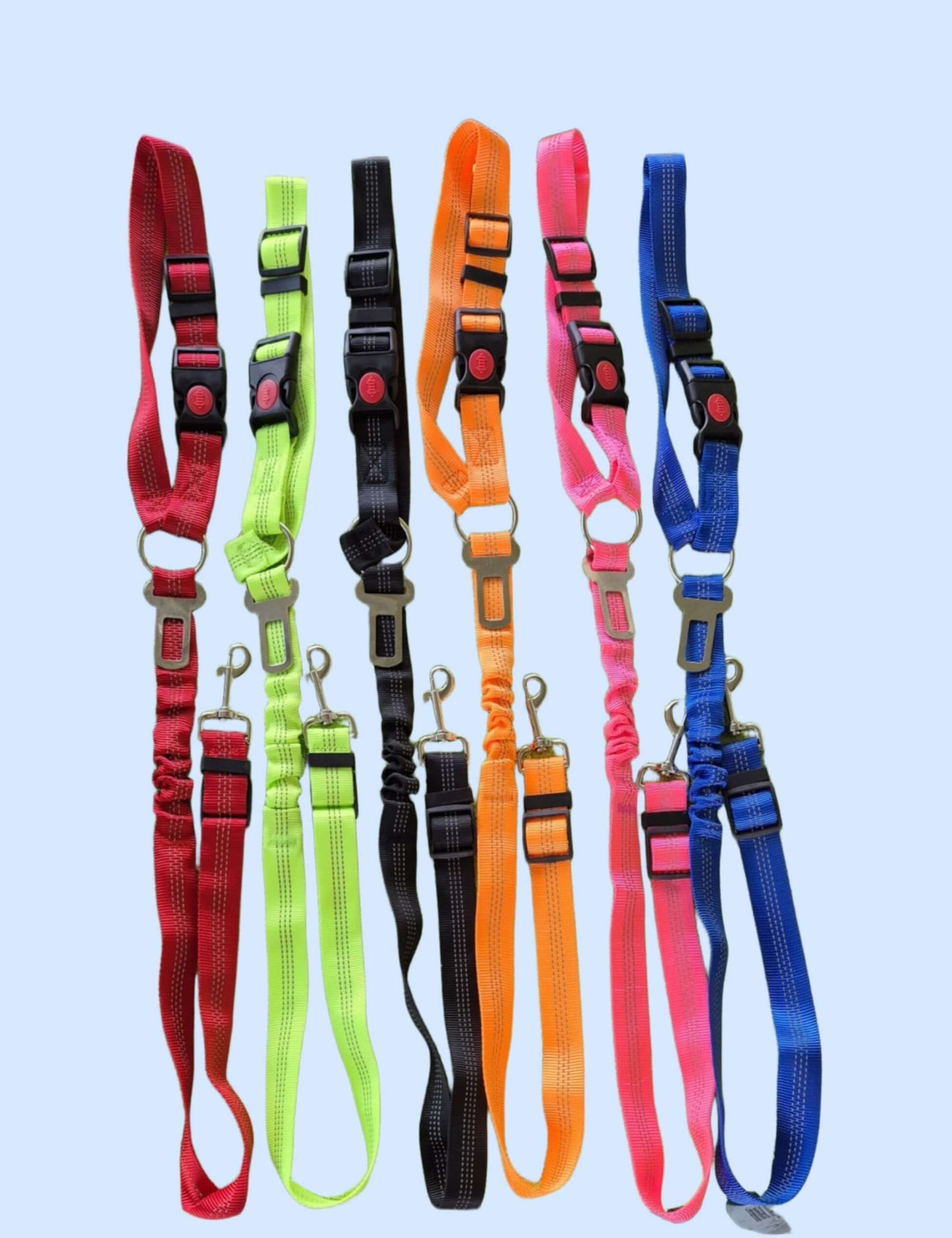 dog seatbelt