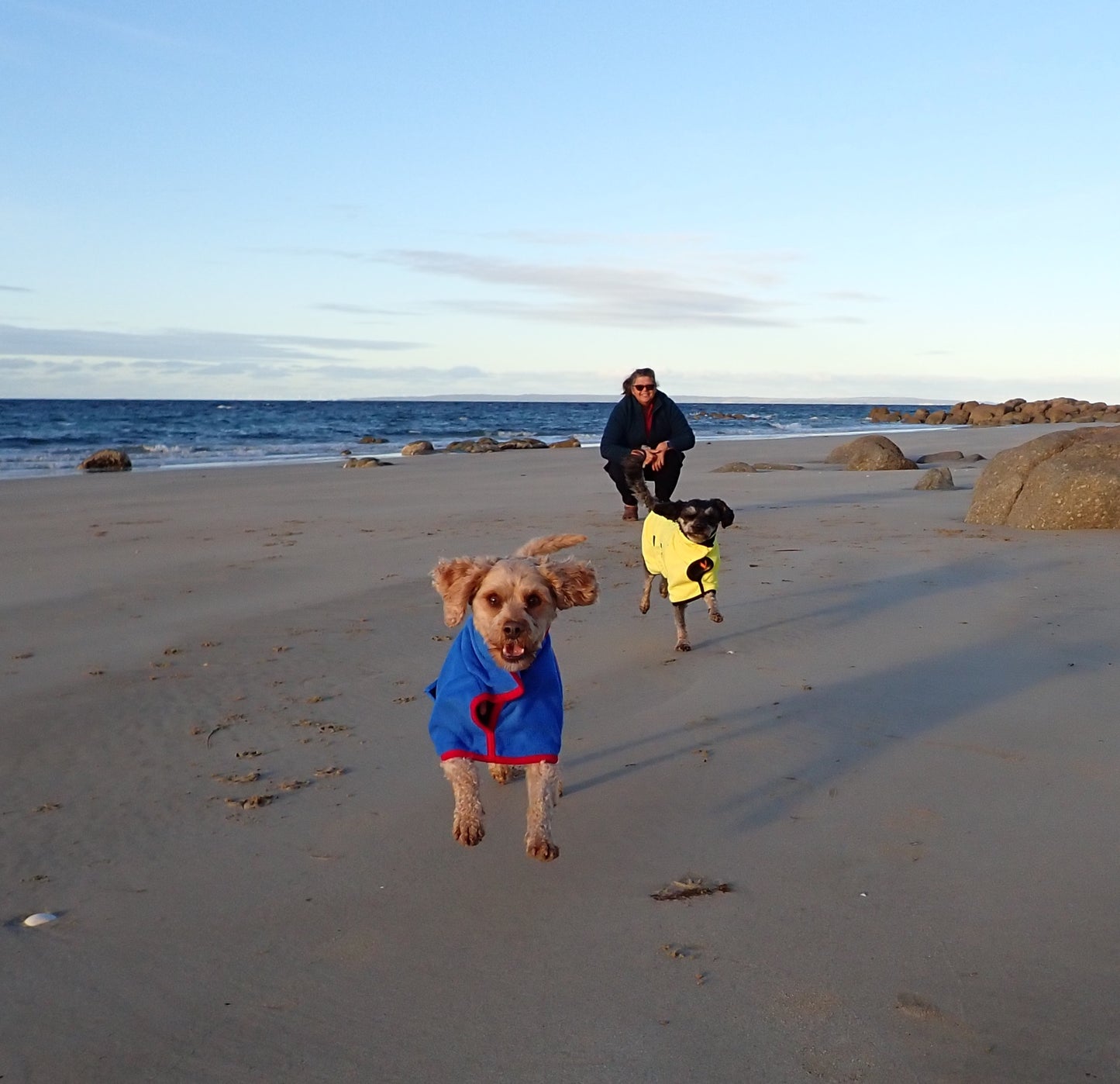 Buzzibeanz Microfibre Dog Robe/Towel and Coat in One