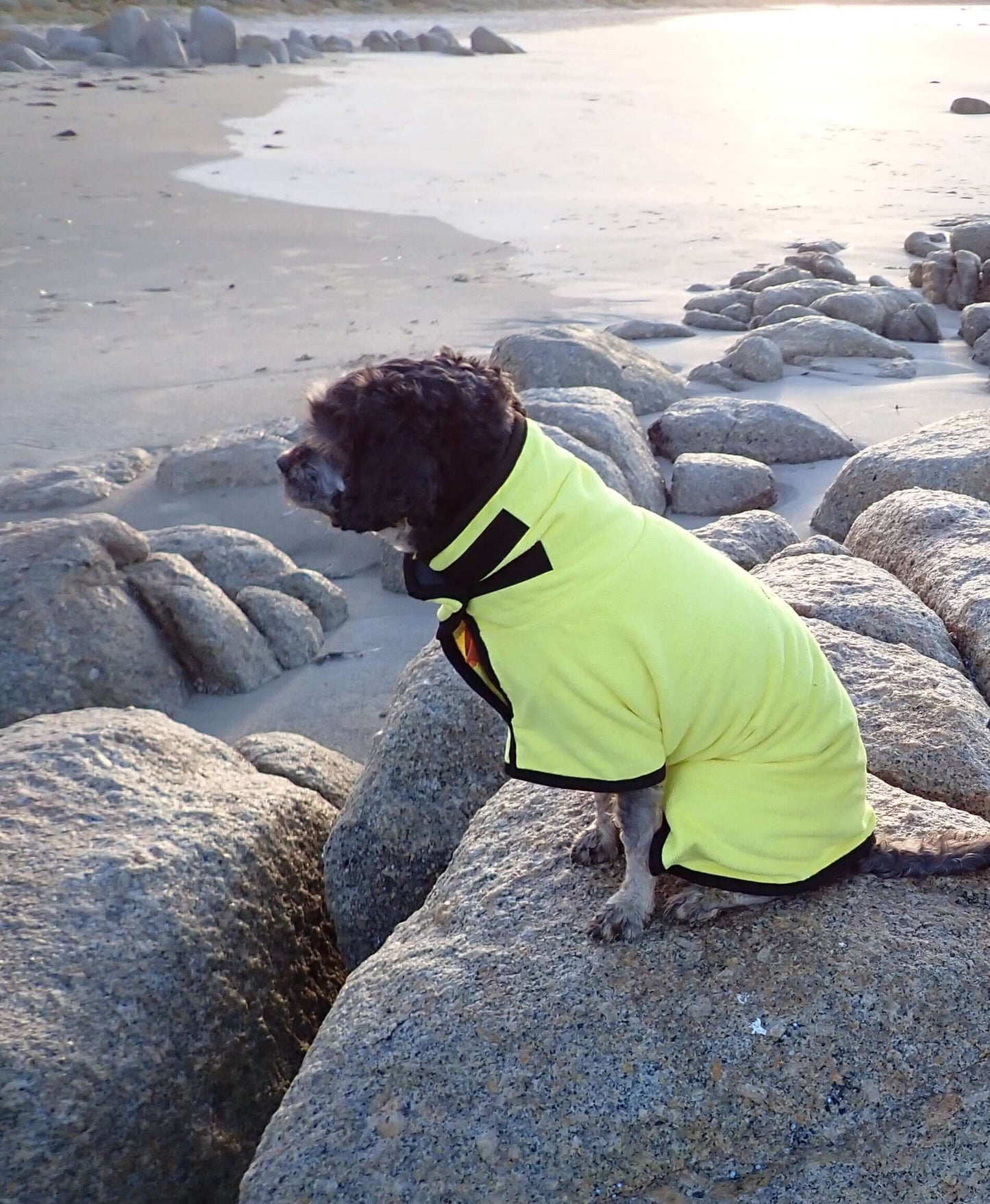 yellow small robe