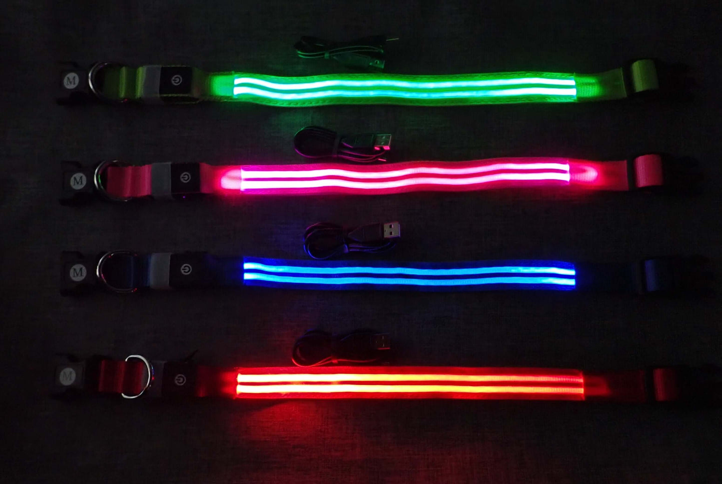 glow collars on