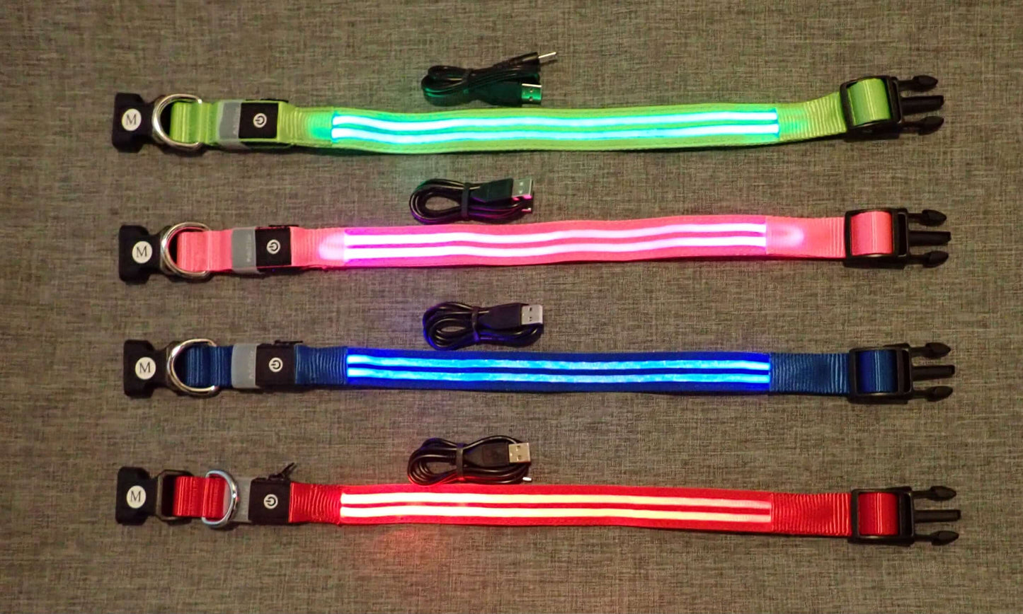 glow collars