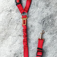 Collection image for: Dog Seatbelts