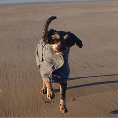 Collection image for: Robes/Towels