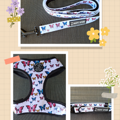 harness, collar and lead bundle