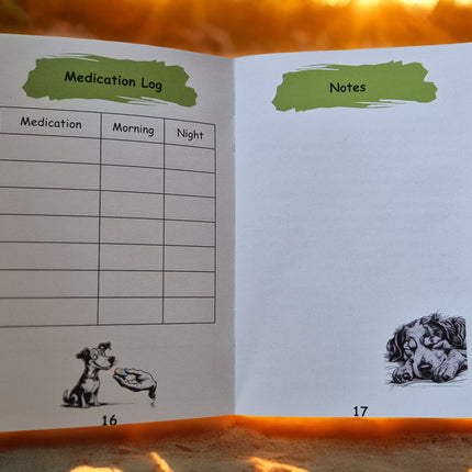 buzzibeanz veils pawport