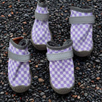 Purple / One (1)