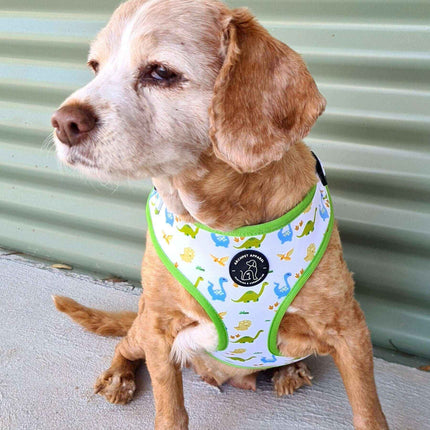 CLEARANCE - Dog Harness