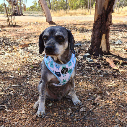 CLEARANCE - Dog Harness