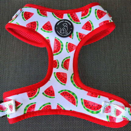 CLEARANCE - Dog Harness