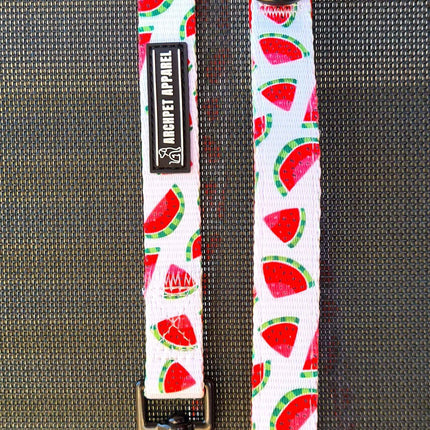 CLEARANCE - Dog Leads