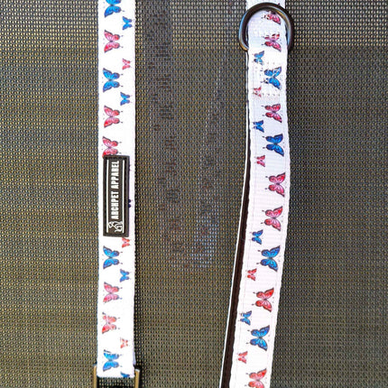 CLEARANCE - Dog Leads