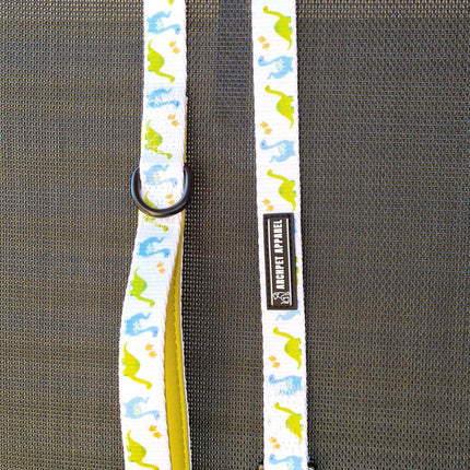 CLEARANCE - Dog Leads