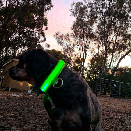 Material Glow Collar