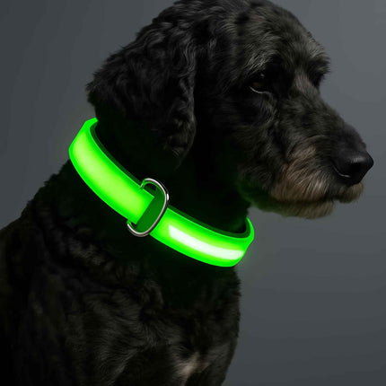 Material Glow Collar