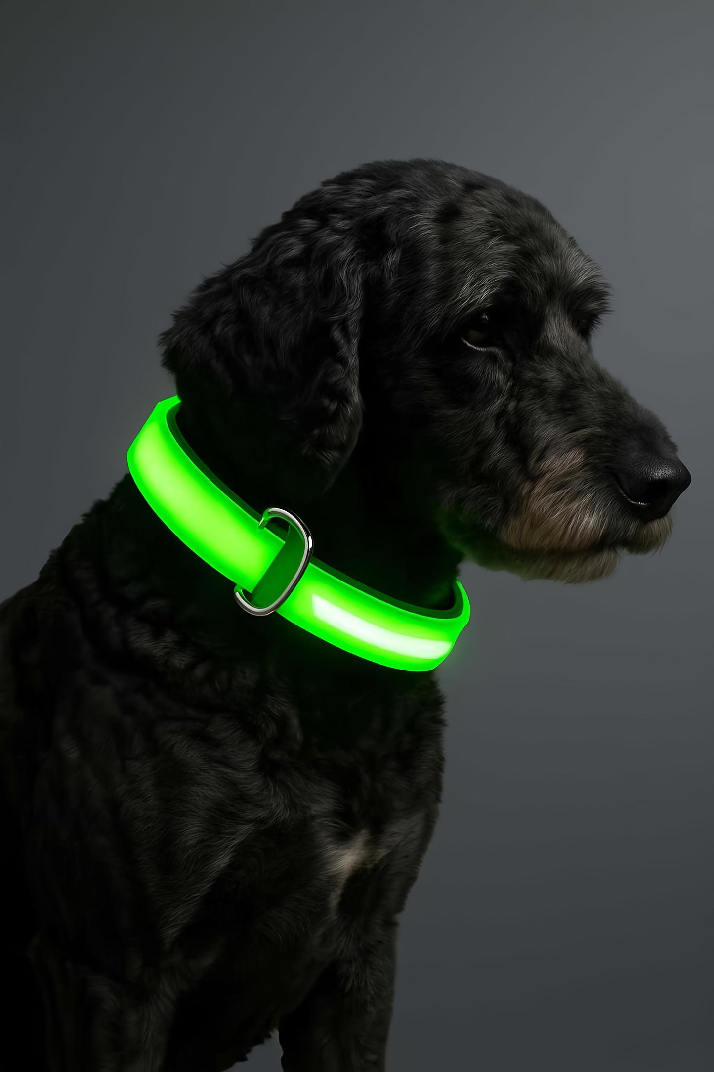 Adjustable material Glow Collar