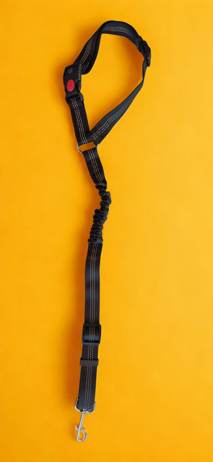 Car Seat Belt – Buzzibeanz Safety Gear