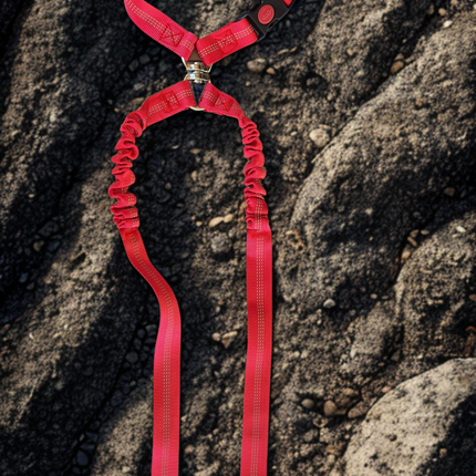 double red seat belt