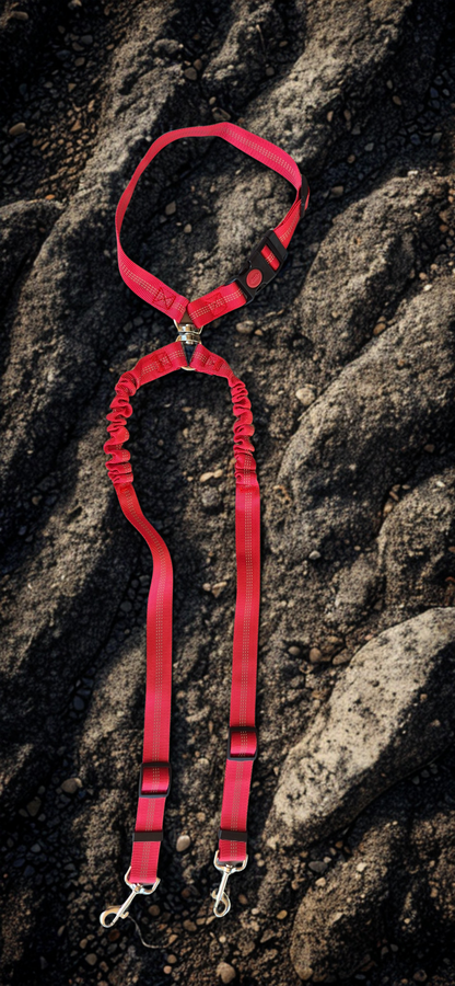 Car Seat Belt – Buzzibeanz Safety Gear