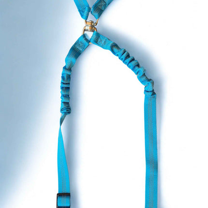 double blue double seat belt