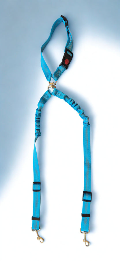 Car Seat Belt – Buzzibeanz Safety Gear