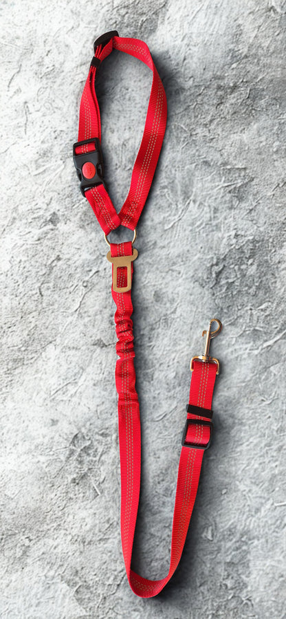 Car Seat Belt – Buzzibeanz Safety Gear
