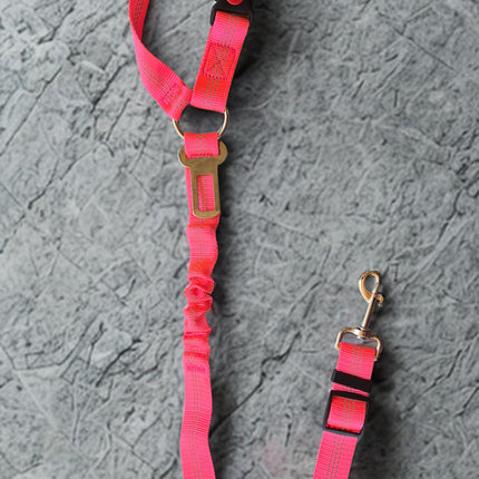 Dog Car Seat Belt