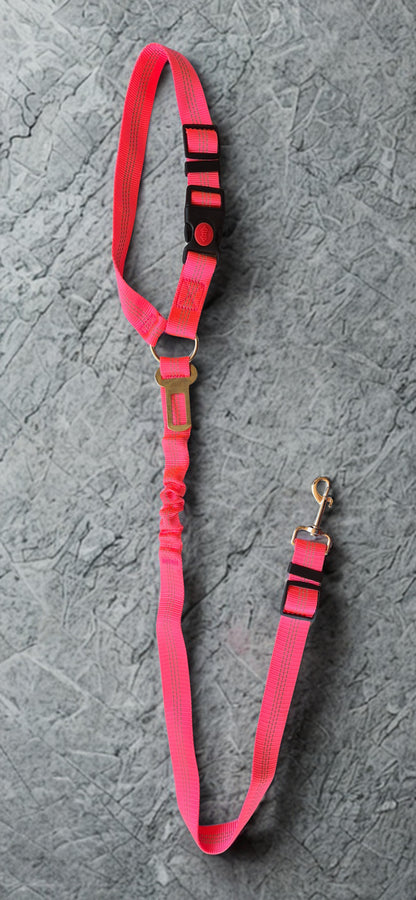 Car Seat Belt – Buzzibeanz Safety Gear