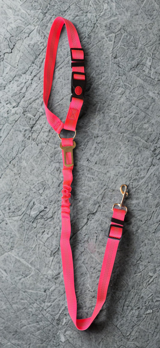 Car Seat Belt – Buzzibeanz Safety Gear