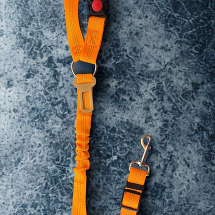 singel orange seat belt