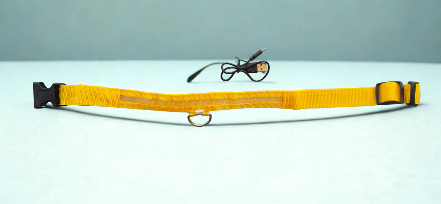 Adjustable material Glow Collar