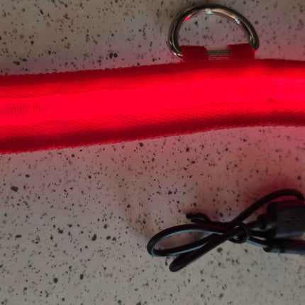 Material Glow Collar