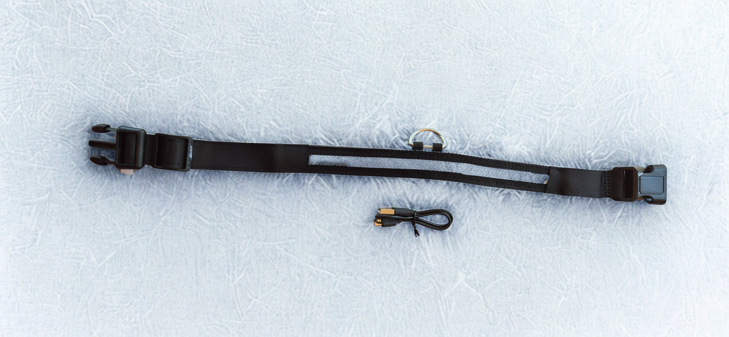 Adjustable material Glow Collar