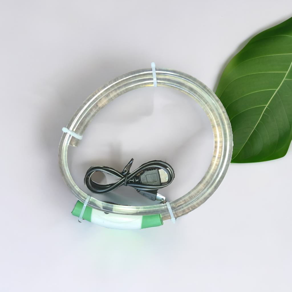 USB Rechargeable LED Dog Collar