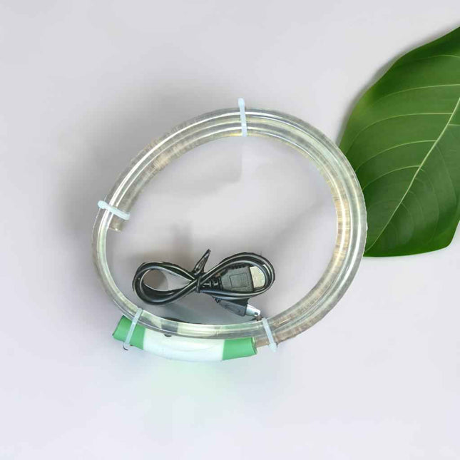 usb glow collar buzzibeanz veils