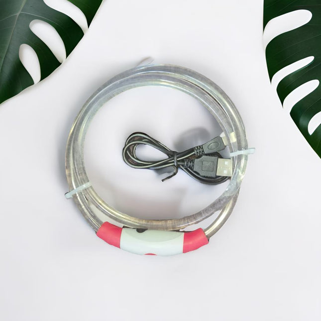 usb glow collar buzzibeanz veils