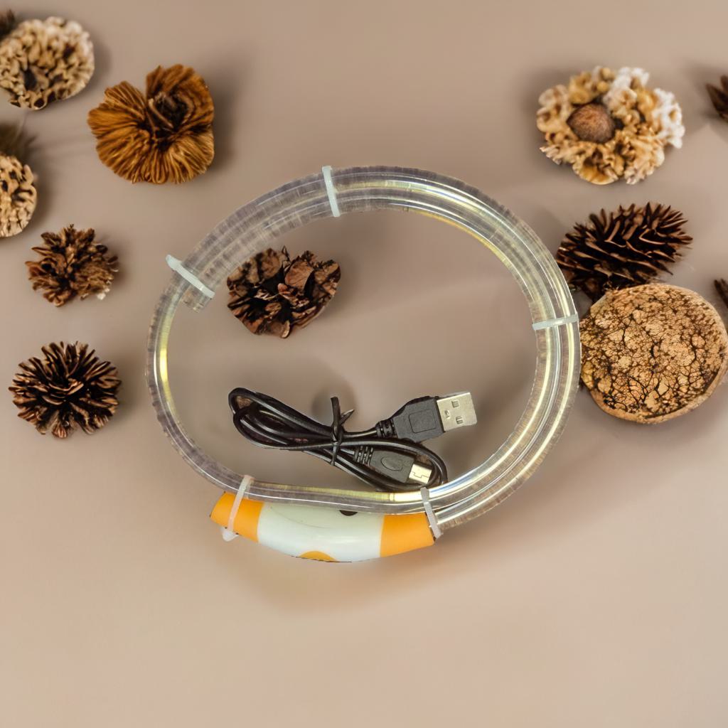 USB Rechargeable LED Dog Collar