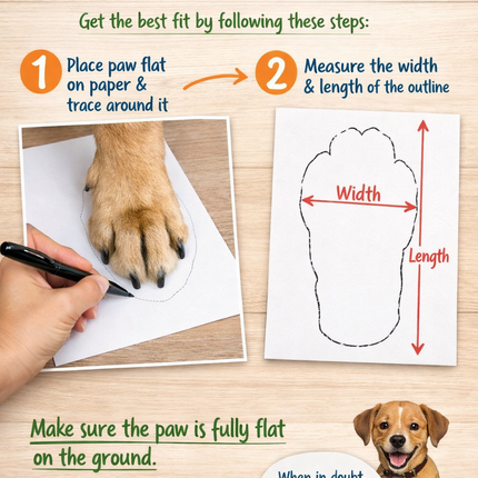 Dog boots | Paw Protection for Everyday Walks