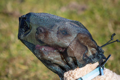 fly veil