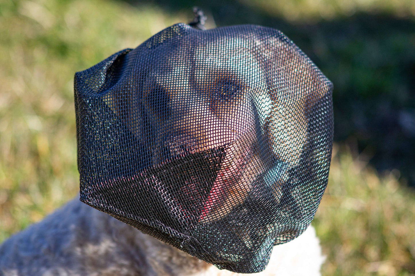 medium veil