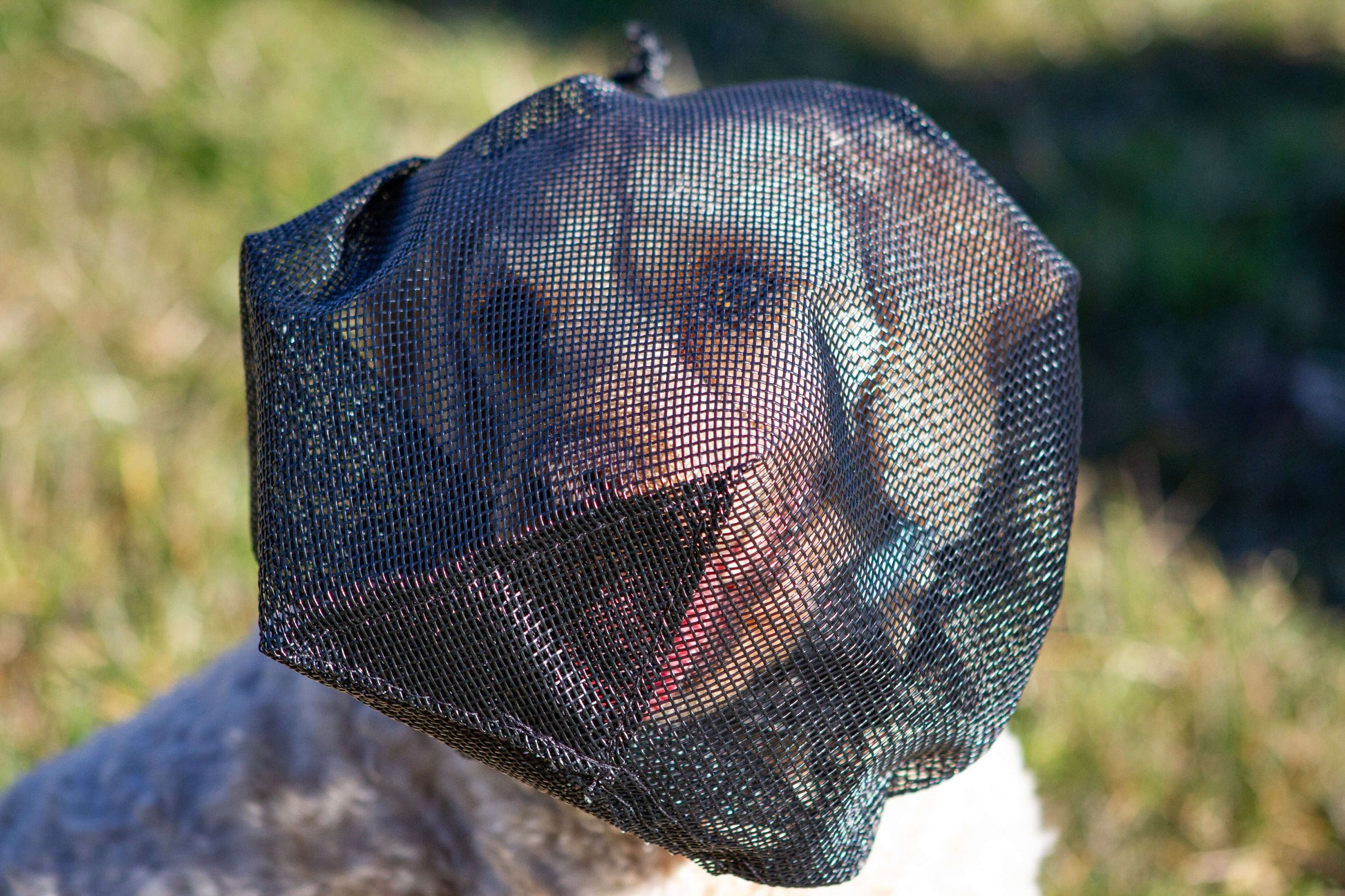 medium veil