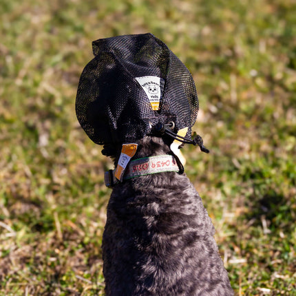 fly veil