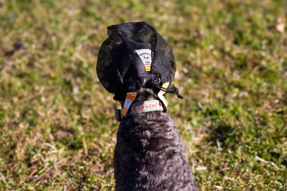 fly veil