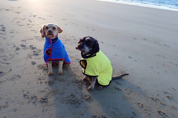 Microfibre Dog Robe/Towel