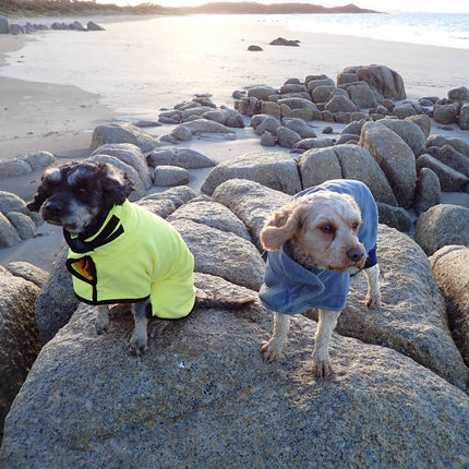 Microfibre Dog Robe/Towel