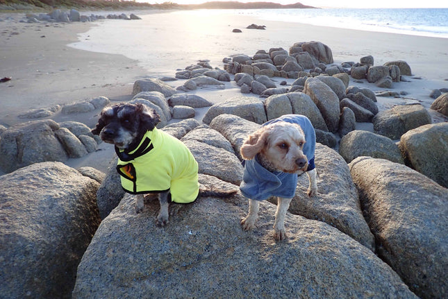 Microfibre Dog Robe/Towel