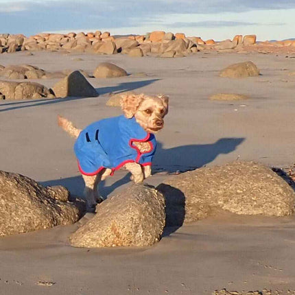 Microfibre Dog Robe/Towel