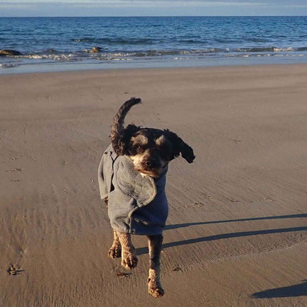 Microfibre Dog Robe/Towel