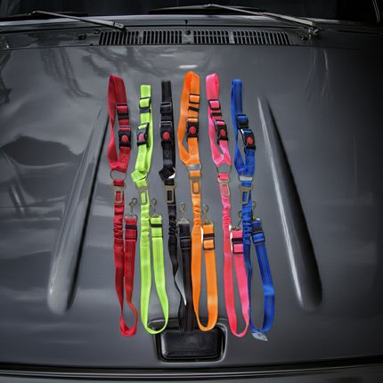 Dog Car Seat Belt